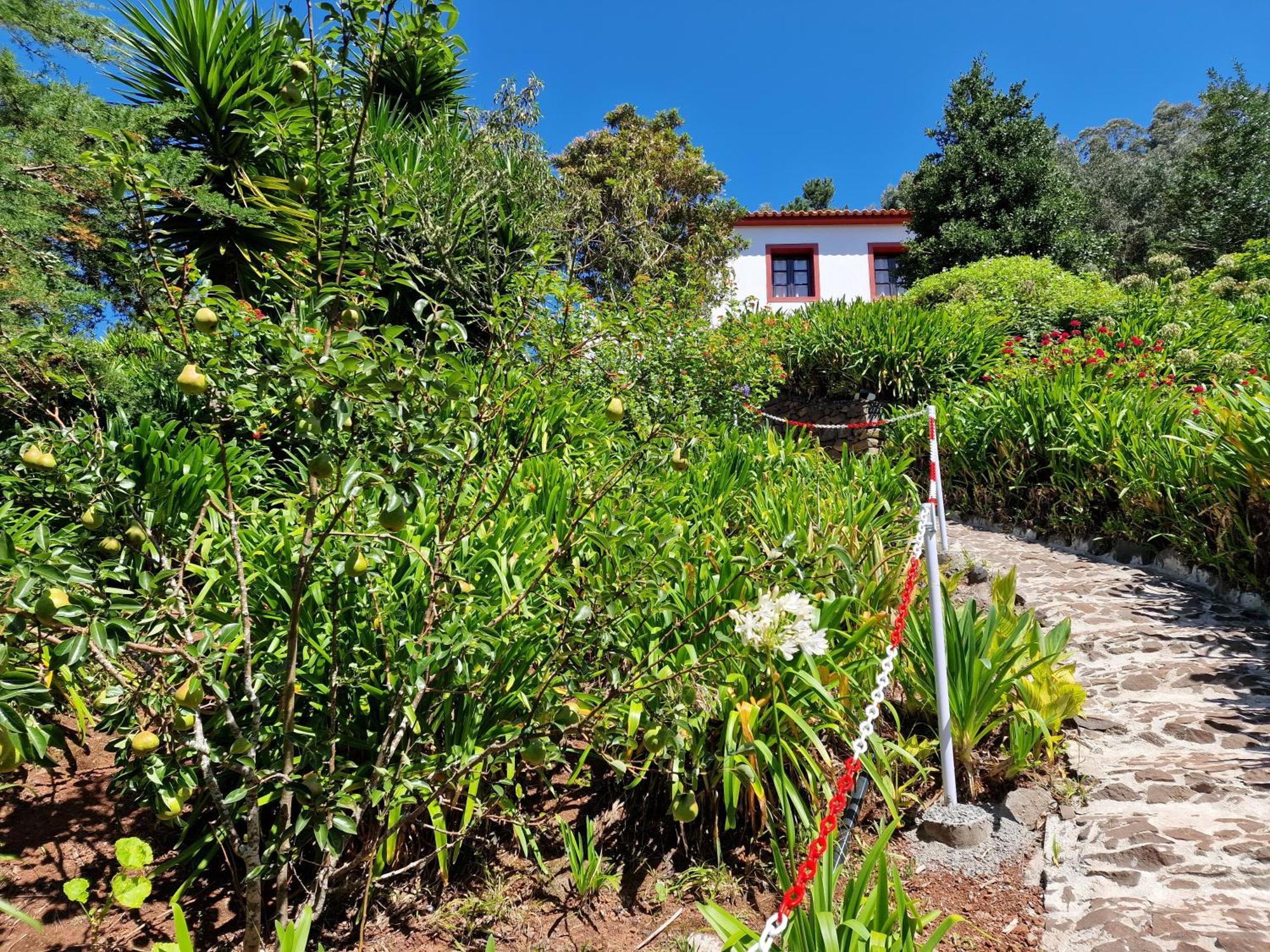 Cantinho Rural Camacha  Exterior foto