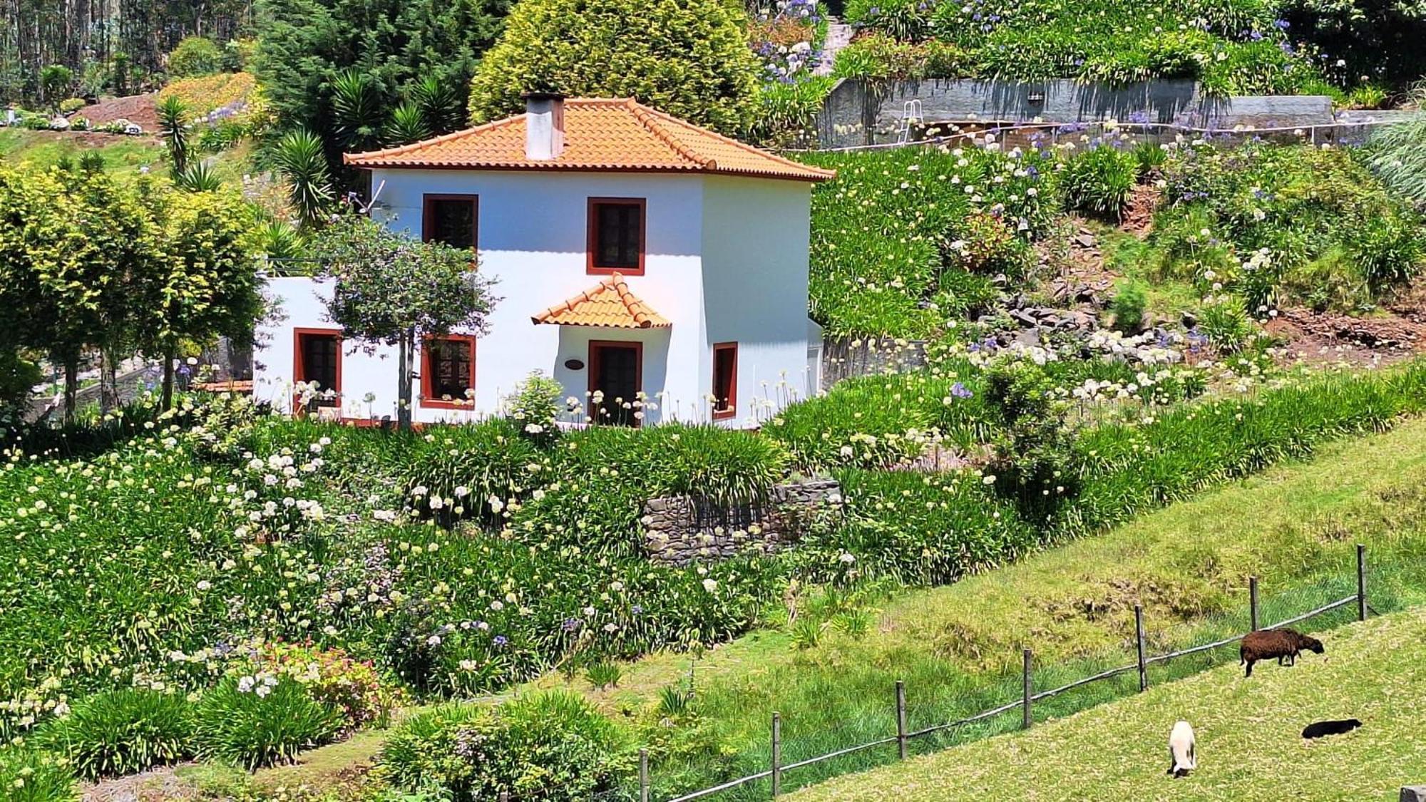 Cantinho Rural Camacha  Exterior foto